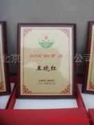 北京京艺鑫广告公司 专业广告发布，产品相册图片打造卓越视觉体验